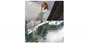 Alleged Tellus Coffee Shop burglary suspects. Credit KRON 4 News and Tellus Coffee Shop