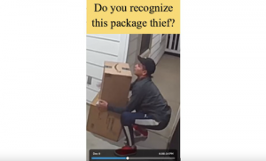 Alleged Gilroy Package Theft Suspects Caught on Camera