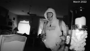 Scottsdale Police Release Video of Alleged Dinner-Time Burglars Caught on Camera. Credit: SPD