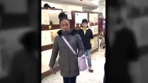 Woman Allegedly Kicks Puppies, Slaps and Spits on a Tourist Caught on Camera. Credit Pix 11 News