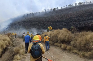 A Police Officer, a Firefighter and 2 Volunteers Killed Battling Wildfires Across Mexico, Credit CONAFOR