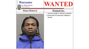 Fugitive Dejan Belnavis. Credit WPD