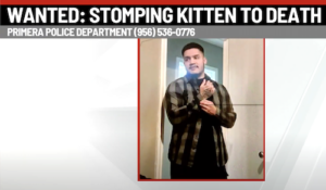 Gustavo De La Garza Wanted for Allegedly Stomping Kitten to Death. Credit CBS 4 News Rio Grande Valley