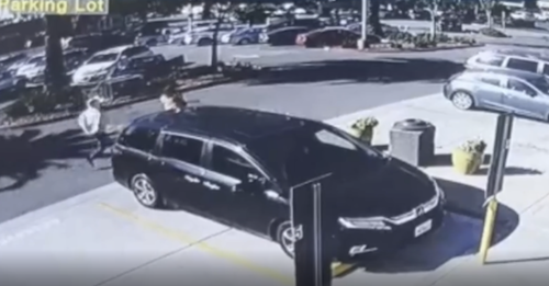 San Jose Police Arrest Juvenile Purse Snatch Robbery Suspect. Credit SJPD