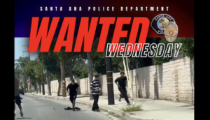 Three Alleged Wanted Stabbing Suspects Being Sought by Santa Ana Police Caught on Camera. Credit SAPD