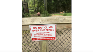 Per city ordinance 247-C, climbing zoo fences is prohibited. Credit NBC News