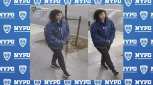 Woman Wanted for Allegedly Randomly Stabbing Tourist Paolo Rech in Manhattan. Credit NYPD