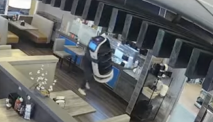 Man Allegedly Tries to Steal a Restaurant Robot in Brazen Robbery Caught on Camera, Credit Pho 21