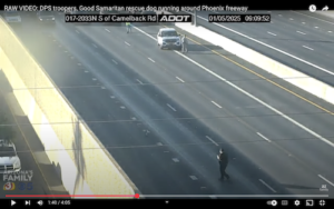 Raw Video Shows a Good Samaritan and State Trooper Save Puppy Dog From Freeway. Credit Arizona's Family