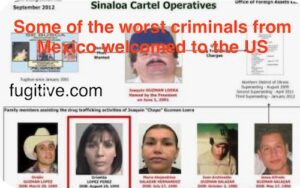 Trump Administration Allegedly Allows El Chapo Family to Defect from Mexico to the U.S.Credit FW