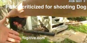 Columbus Police Release Video of Officer Shooting Pitbull Dog Caught on Camera. Credit Fugitive Watch