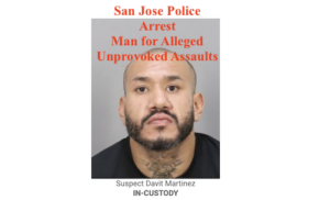 San Jose Police Arrest Davit Martinez for Alleged Unprovoked Assaults on Elderly Victims. Credit SJPD